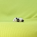ぶ～ん babyパンダ 羊毛フェルト