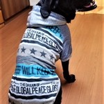アメリカン・グラフィティー【大型犬用】パーカー