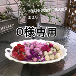 O様のみご購入できます