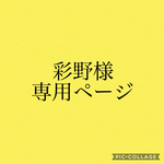 彩野様専用ページ