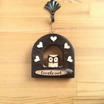 lovely owl