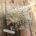 蕾かすみ草 オイスターホワイト
