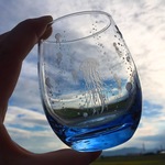アクアリウムくらげ（水縹海月）