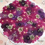 ♡new♡ ♡可愛いカラーがたくさん♡  ♡押し花セット♡