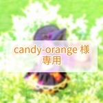 【candy-orenge 様専用】シルバニアお洋服