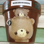 のこのこ堂オリジナルリメ鉢くまちゃん＆くまちゃん