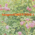 toragoro様専用画面 4