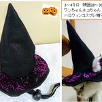 ハロウィン帽子 小型犬猫用 送料無料　pｂ16-4
