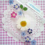 【sale】＊iPhone６＊押し花スマホケース＊カバー＊