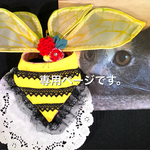 蜂♡個人専用ページです。