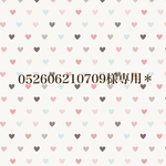 052606210709様専用＊