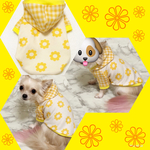犬服 お花柄×チェックパーカー【黄色】