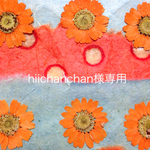 hiichanchan様専用