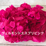人気色小分け‼️ハーバリウム花材プリザーブドフラワーアジサイ紫陽花