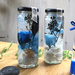 ブルーのハーバリウム/浜辺の想いで