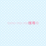  * tomo-mo-mo様専用*