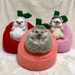 アプリコットのビーズクッション