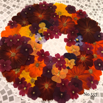 ♡10月限定♡ハロウィンカラーな押し花セット♡