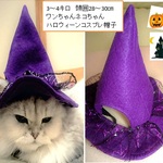 ハロウィン帽子・紫 小型犬猫用 送料無料　pｂ26-5