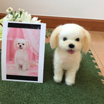 karinchichan 様オーダー品ミックス(マスコットサイズ)