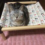 KURO★にゃん様専用オーダーメイド   ニャンモック 猫ベッド