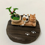 盆栽とねこ