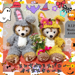 とんすけ&ミスバニー♡ペアコスチューム