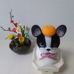 羊毛  フレンチブルドッグ  パイド  鏡餅(三宝付き)