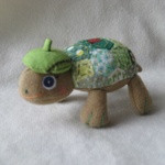小さなカメ