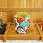 苔玉そっくりピンクッション7　針山Pincushion