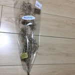 ゴアナクロー プラチナ 大池農園