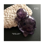 *紫亀#53（アメジスト）