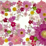 ピンクのお花アソート