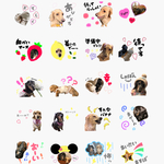 オリジナル★LINEスタンプ