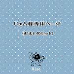 じゅん様専用ページ