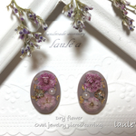 かすみ草  ドライフラワー ジュエリー ピアス / イヤリング   grege