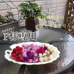 三日月リースP様のみご購入頂けます