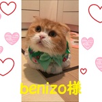 犬・猫　約28～31　cocoちゃんリボンチョーカー　再販不可・現品限り・プリンセス・小鳥・花・グリーン