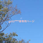 go53***様専用