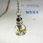 【3個セット】中蓋付ちっちゃな平丸型瓶    ミニハーバリウムに