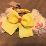 犬・猫の首輪　約24～27　cocoちゃんリボンチョーカー　イエローイチゴスィート・プリンセス　