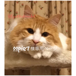 oopie7 様 専用ページ