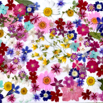 お花のもりもりアソート