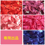 専用出品になります