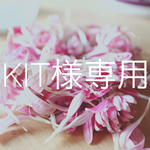 kit様専用 シルバータイムのリース(･∀･)