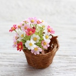 ミニチュア・秋桜