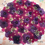 ♡new♡ ♡可愛いカラーがたくさん♡  ♡押し花セット♡