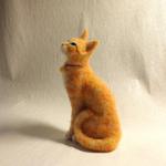 茶トラ猫