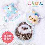 【奈良】【11/18 11:00〜】こらぼんワークショップ