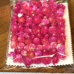 お花屋さんの千日紅のドライフラワー全部で90個‼️